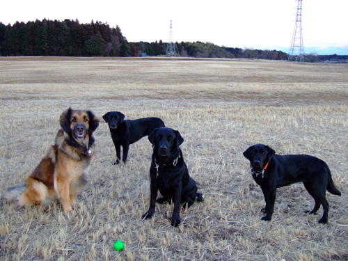 f0001698_23284270.jpg
