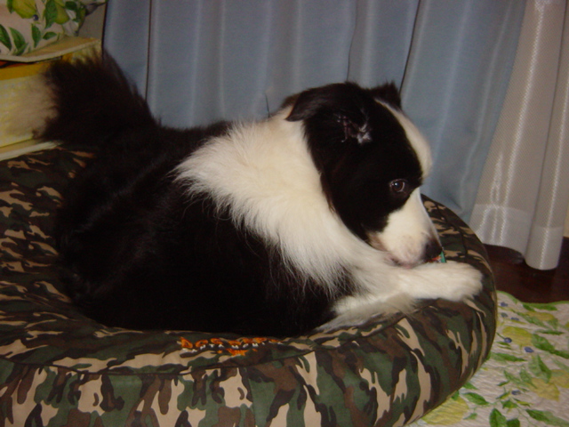 e0028401_127988.jpg