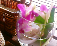 c0055305_9275885.jpg