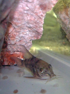 f0034007_172934.jpg
