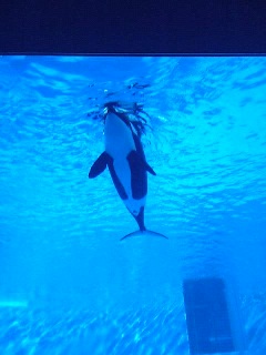 e0077910_034390.jpg