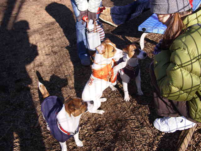 c0035931_22132932.jpg
