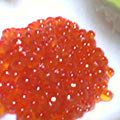 b0030935_22553315.jpg