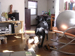 c0065643_13443663.jpg