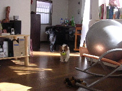 c0065643_13572835.jpg