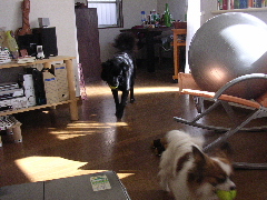 c0065643_1411296.jpg
