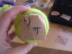c0065643_141564.jpg
