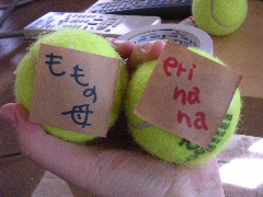 c0065643_1433181.jpg