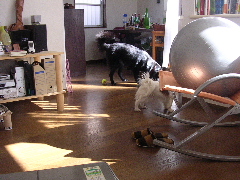c0065643_144211.jpg