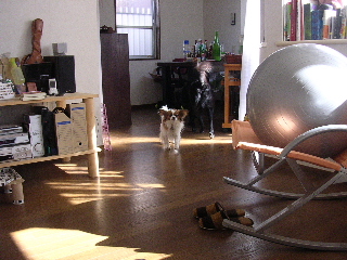 c0065643_1442149.jpg