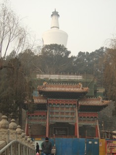 b0006244_22195230.jpg