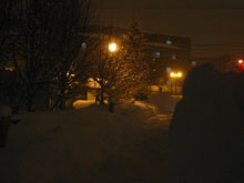 f0000644_24124.jpg