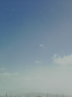 a0040858_1393583.jpg
