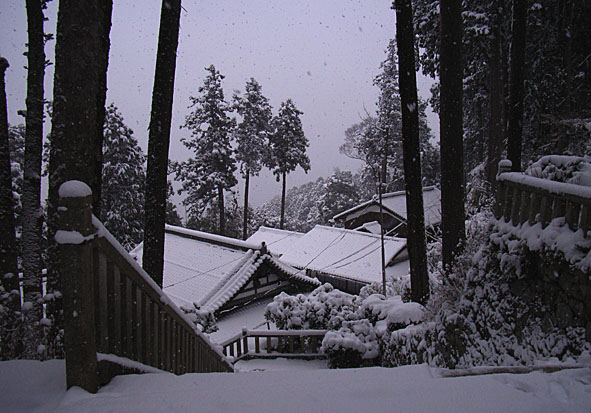 c0022669_17331940.jpg