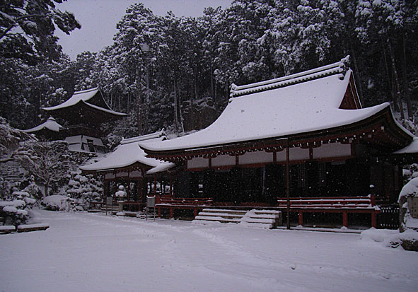c0022669_1734410.jpg