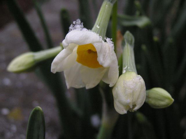 c0042869_20225352.jpg