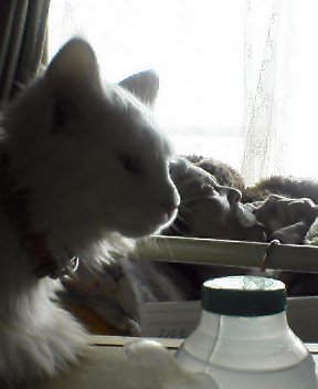 c0020681_10232224.jpg