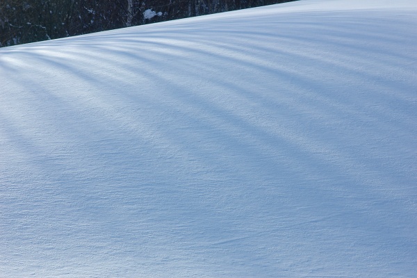 e0051186_22434763.jpg