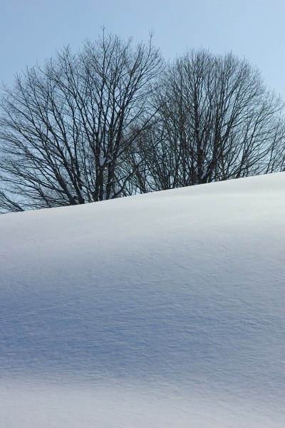 e0051186_2244135.jpg