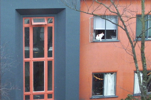 b0058997_17521133.jpg