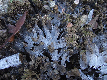 c0044199_17205150.jpg