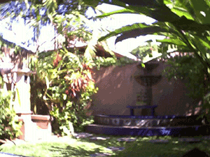 d0038319_11205380.gif