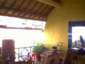 d0038319_11214111.gif