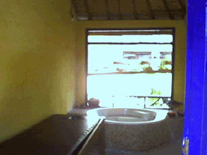 d0038319_1121734.gif