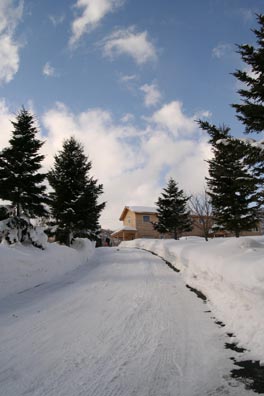 f0045630_2337562.jpg