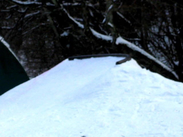 a0005233_9461263.jpg