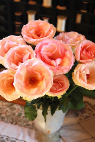 f0029536_206665.jpg