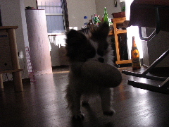 c0065643_19564875.jpg