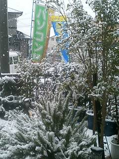 a0031155_20245734.jpg