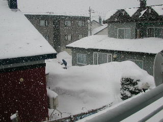 e0004756_1703212.jpg