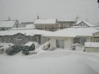 e0004756_170596.jpg