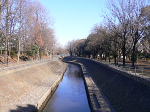 a0063364_2343539.jpg