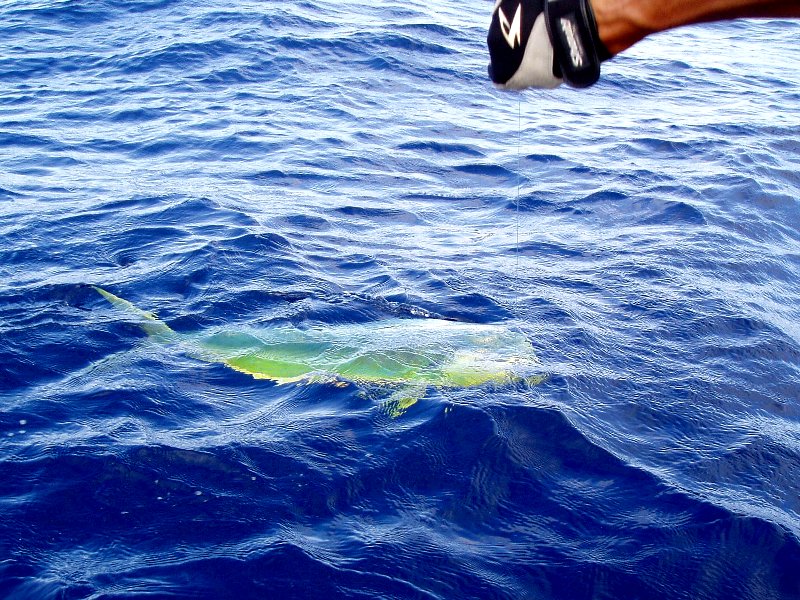 f0050165_10411861.jpg