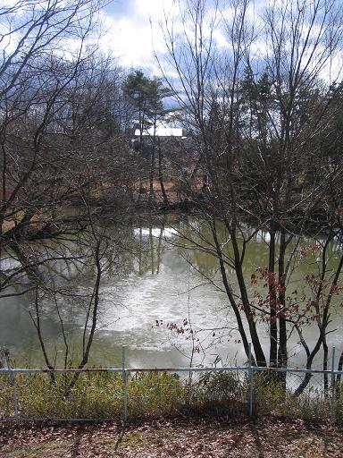 e0031568_1311941.jpg