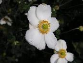 c0001269_22361056.jpg