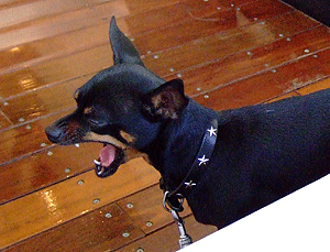 c0012571_1222423.gif