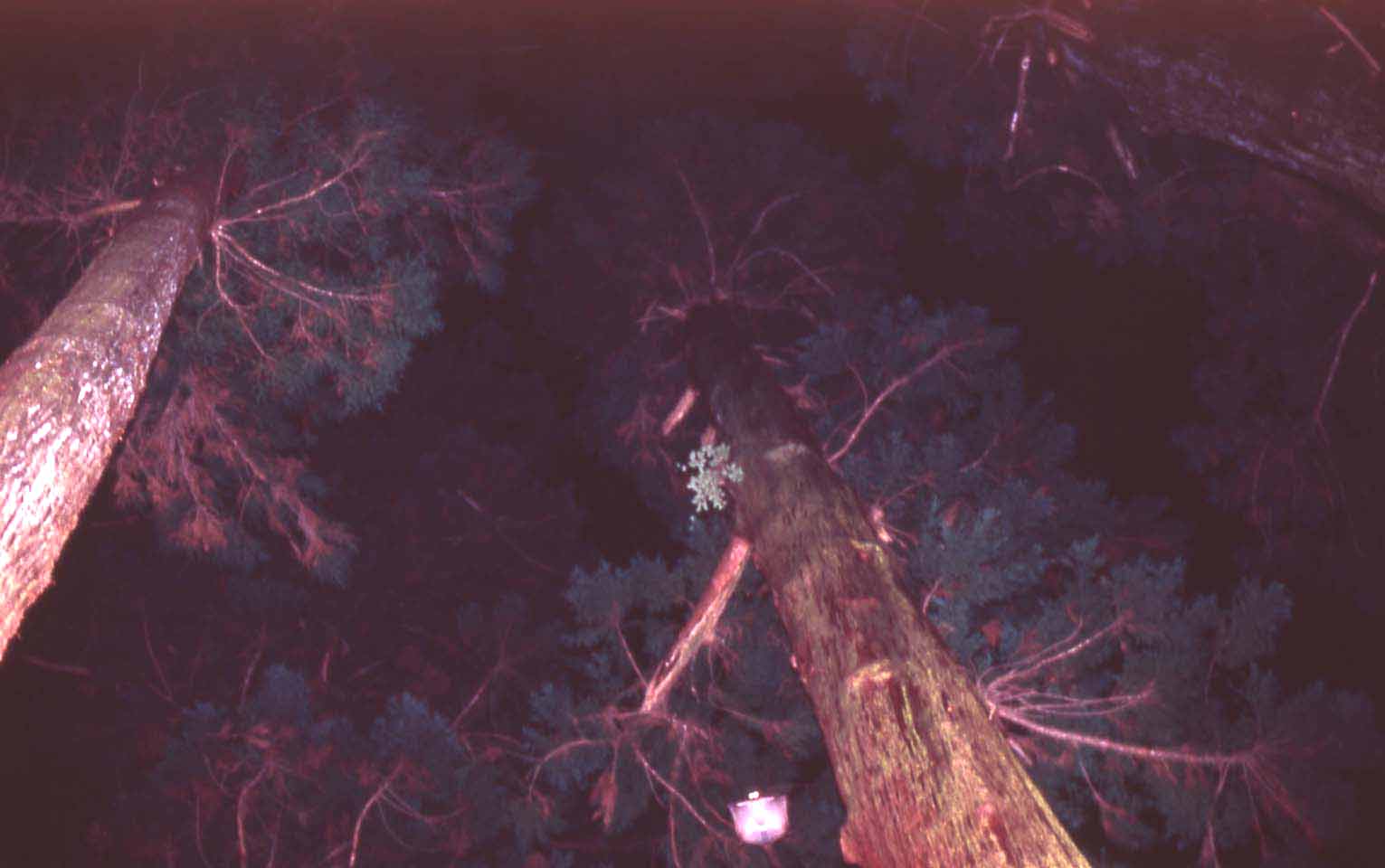 f0047593_1053916.jpg