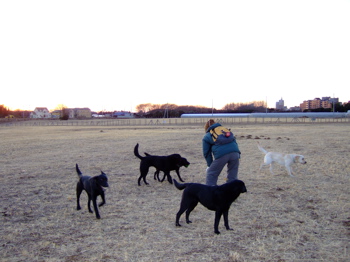 f0001698_0145634.jpg