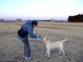 f0001698_0223220.jpg