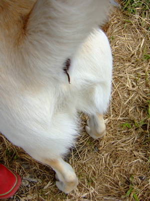 f0001698_15244773.jpg