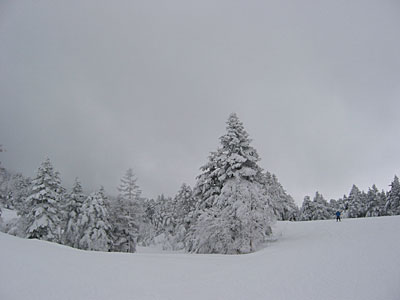 a0041508_21324094.jpg