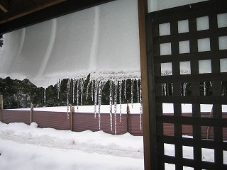 b0032513_18373612.jpg