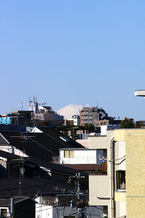 b0058021_1549765.jpg