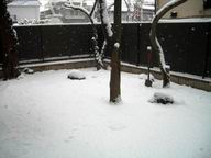 b0037223_21501635.jpg