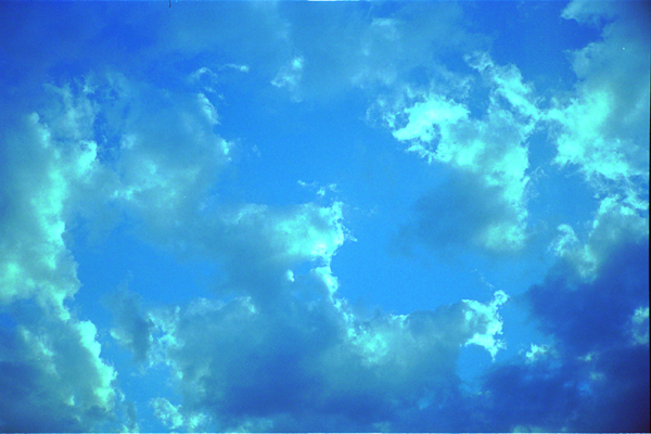 b0063234_21562687.jpg