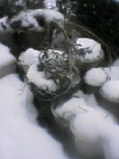 f0052337_132617100.jpg